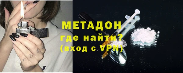 сатива Беломорск
