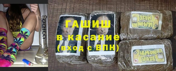 сатива Беломорск