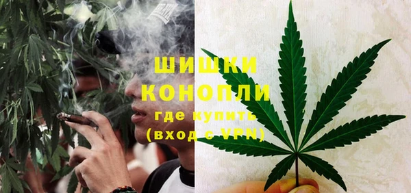 сатива Беломорск