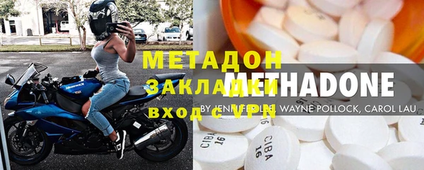 сатива Беломорск