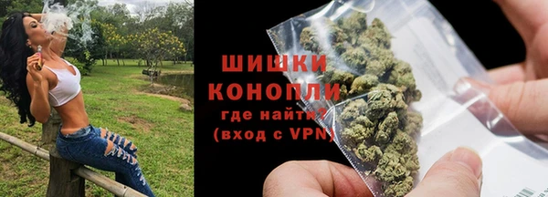 сатива Беломорск