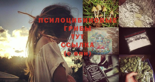 наркотики Белокуриха