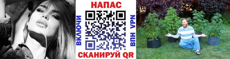 Бошки Шишки планчик  Верхотурье 